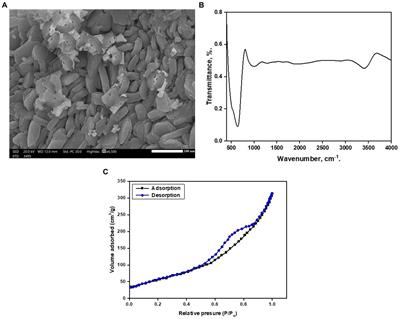 Sustainable and efficient oil-water separation using bio tin oxide-based superhydrophobic membrane